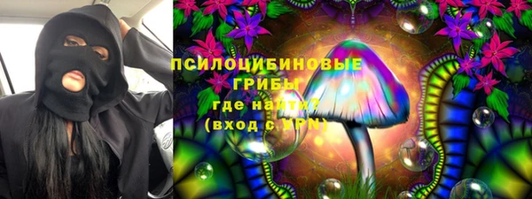 МДПВ Новокубанск