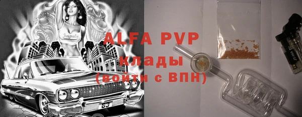 стаф Абинск