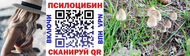 Галлюциногенные грибы Psilocybine cubensis  Ильский 